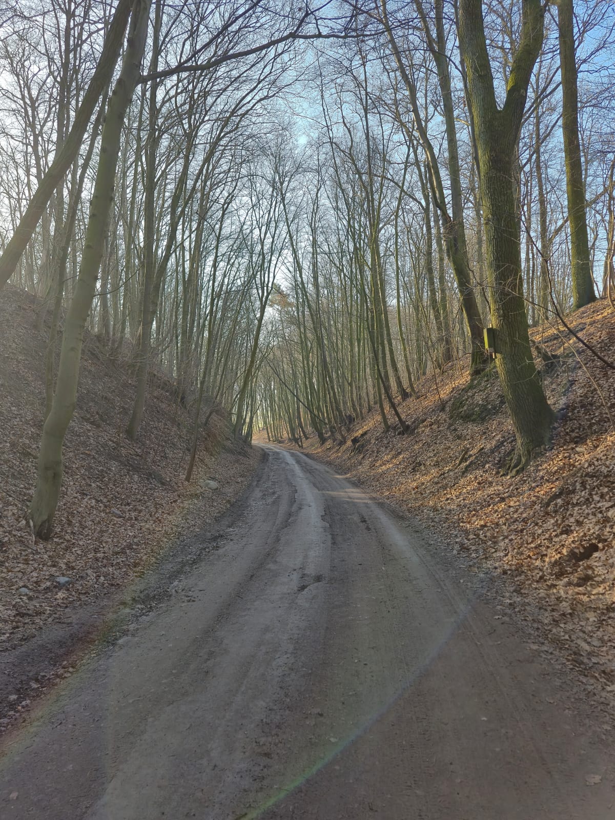 Mazowiecka Szwajcaria